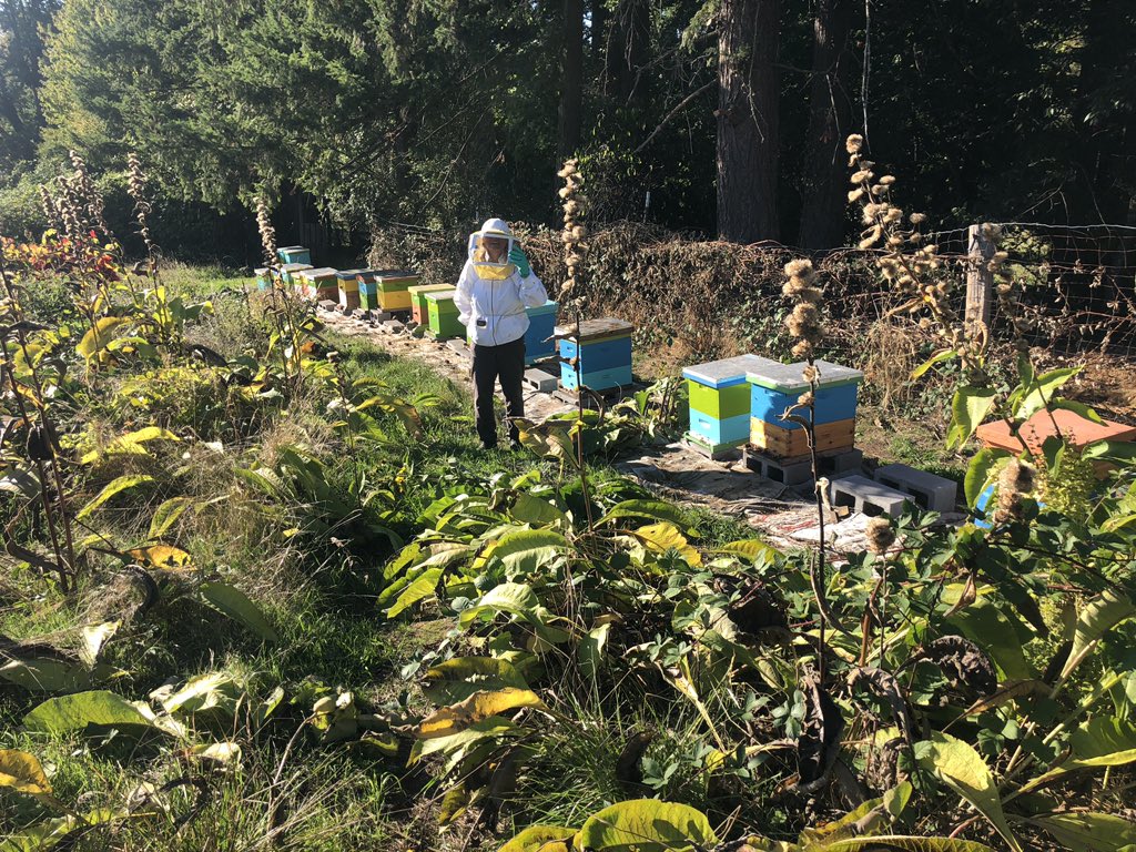 My mum hard at work. 

#beekeeping #ladyfarmer #beehives #farmlife #beekeeperslife #oregonbeekeeper #soilandhive