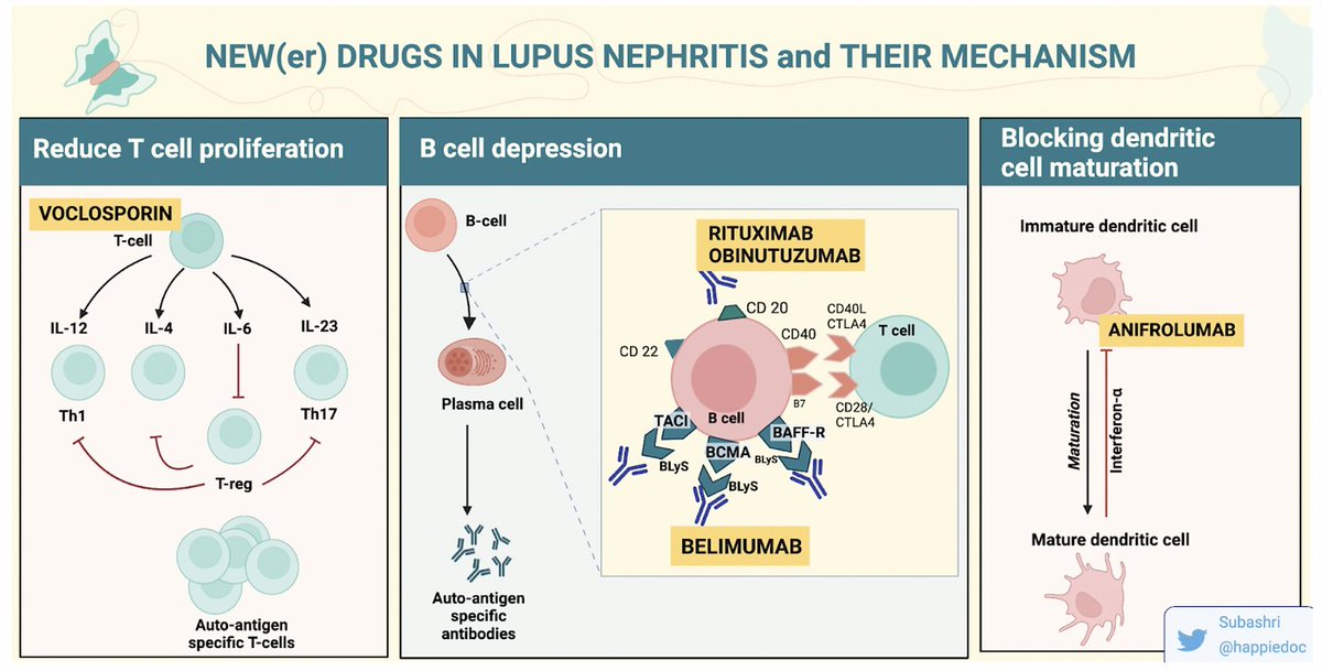 New #KIReportsCommunity Educational #blog post. Join @happiedoc discussing belimumab in de novo lupus nephritis flares Fantastic figures and great learning! #NephTwitter @ISNkidneycare @academiccme @NSMCInternship kireportscommunity.org/post/belibumab…