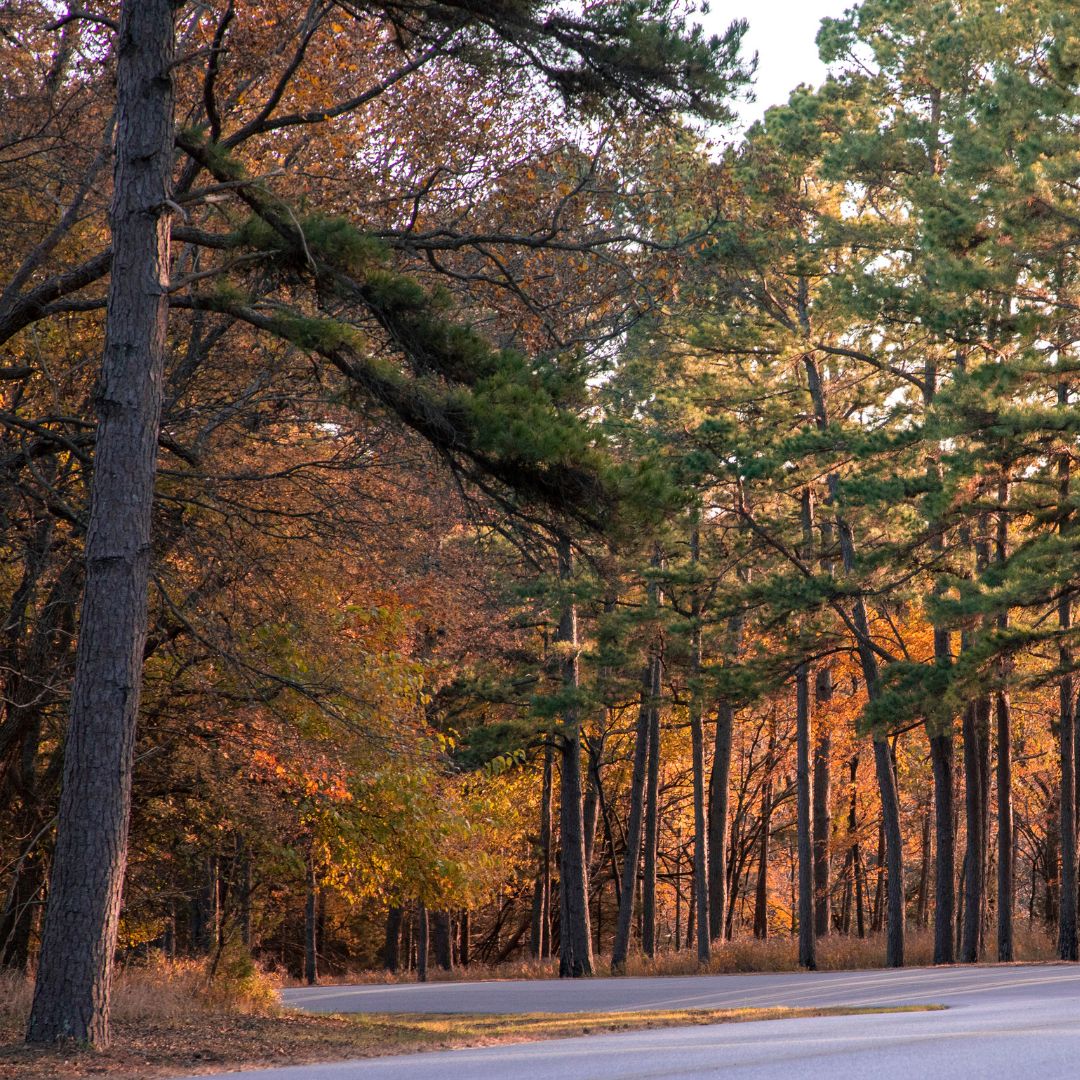 TravelOK.com tweet media