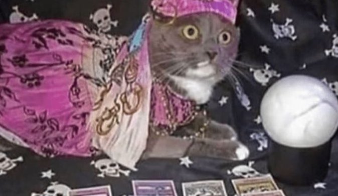 yo: cuál es tu signo?
mi crush: porfa dime que no crees en esas cosas
literalmente yo: