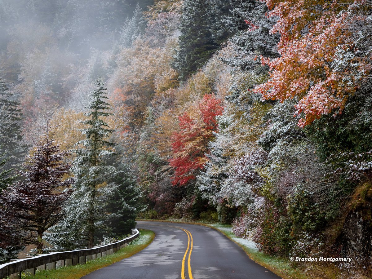 Nameless Nomad 🌿 tweet media