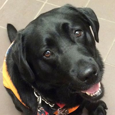 Wishing Holly a very happy birthday!