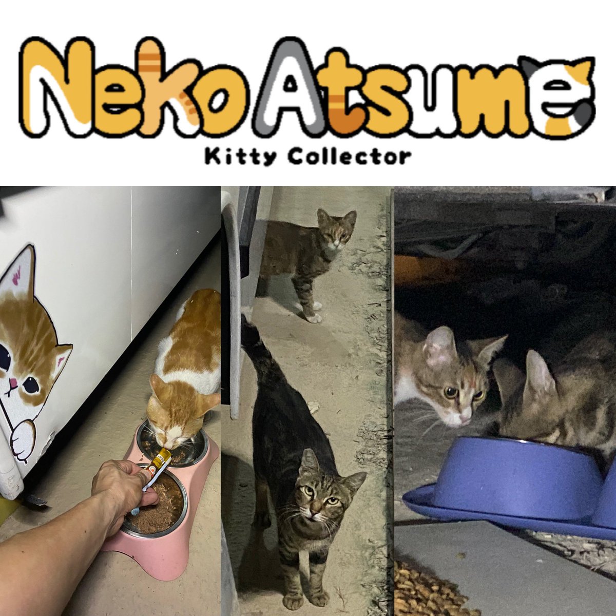 ChingMotorBus's tweet image. 