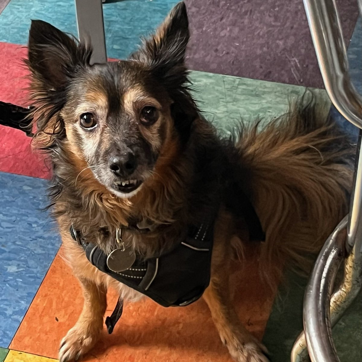 Trusty's (@trustysdc) on Twitter photo Friends, Having a "Ruff" day or a Rough day? Either way we're here for You <a href="/TrustysDC/">Trusty's</a> & <a href="/SchoolBusRocks/">TrustysLiveDC</a> come Play Trivia with <a href="/TriviaKings/">Trivia Kings</a> starts at 8pm & make Your night better, Cheers! <a href="/AllianceforDC/">DC Alliance</a> <a href="/BarredinDC/">Barred in DC</a> <a href="/CapitolHillBID/">Capitol Hill BID</a> <a href="/DiningDrunkDC/">DiningDrunkDC</a> <a href="/theHillisHome/">The Hill is Home</a> <a href="/HillRagDC/">HillRag DC</a> <a href="/PoPville/">PoPville</a> Friends, Having a "Ruff" day or a Rough day? Either way we're here for You <a href="/TrustysDC/">Trusty's</a> & <a href="/SchoolBusRocks/">TrustysLiveDC</a> come Play Trivia with <a href="/TriviaKings/">Trivia Kings</a> starts at 8pm & make Your night better, Cheers! <a href="/AllianceforDC/">DC Alliance</a> <a href="/BarredinDC/">Barred in DC</a> <a href="/CapitolHillBID/">Capitol Hill BID</a> <a href="/DiningDrunkDC/">DiningDrunkDC</a> <a href="/theHillisHome/">The Hill is Home</a> <a href="/HillRagDC/">HillRag DC</a> <a href="/PoPville/">PoPville</a>