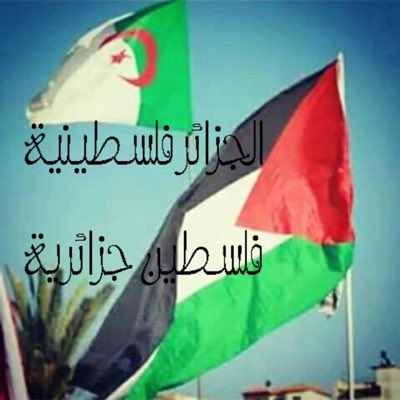 SamiraReal's tweet image. #NouvellePhotoDeProfil