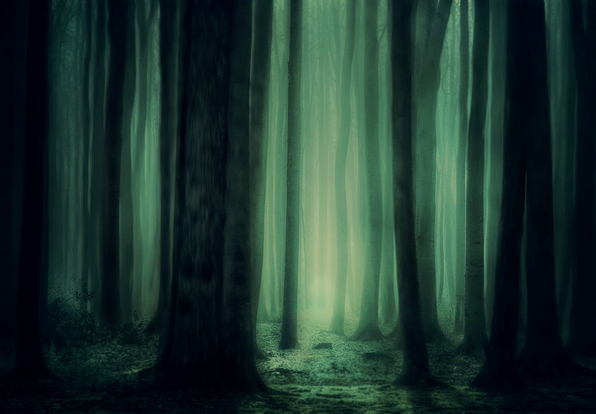 ginapoet's tweet image. green sunset fading
tree legs start to lift their roots
giants rule the night
#haikuchallenge prompt "tree"
#scifaiku #haiku #poetry #micropoem
Image by DarkMoon_Art (Pixabay)