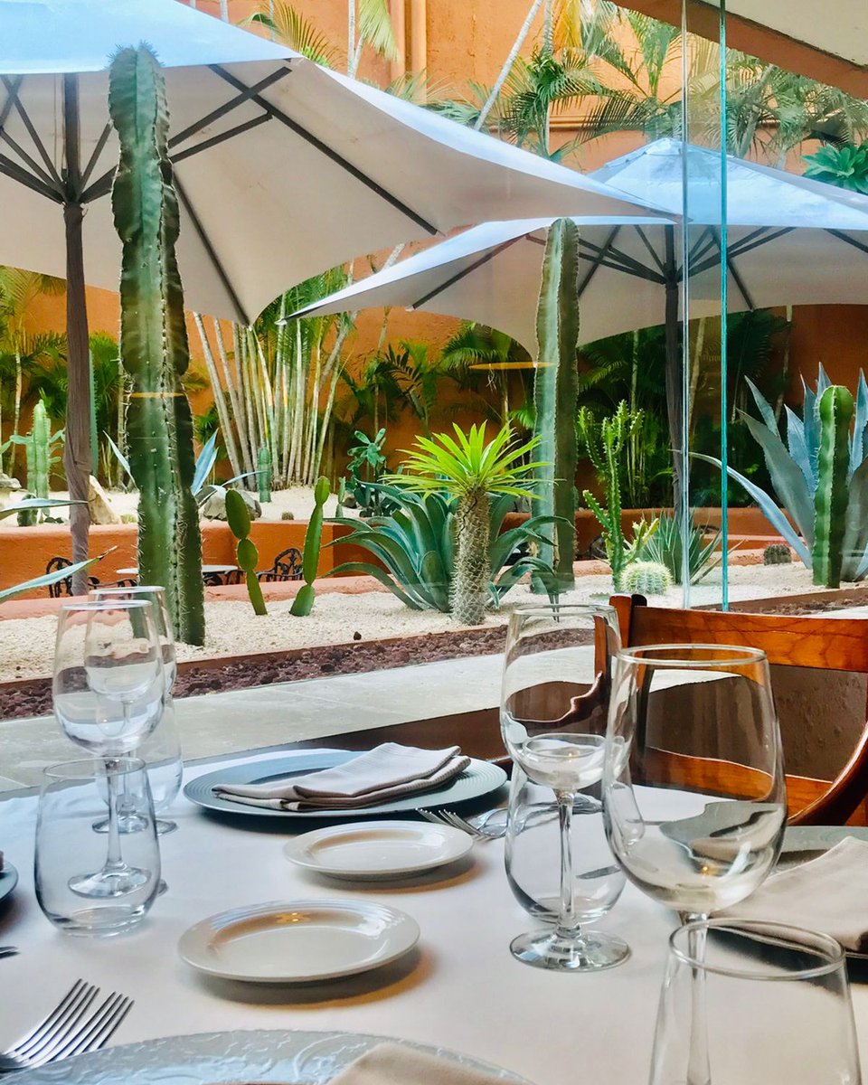 Esta es la invitación perfecta a conectar un delicioso momento con el paraíso y la magia de #IxtapaZihuatanejo

📸 <a href="/BrisasIxtapa/">Las Brisas Ixtapa</a>

#HotelesIxtapaZihuatanejo #thisIZit #VisitIZ #Zihuatanejo #PuebloMágico #Paraíso #Relax #Hotel #SeasideRelaxation