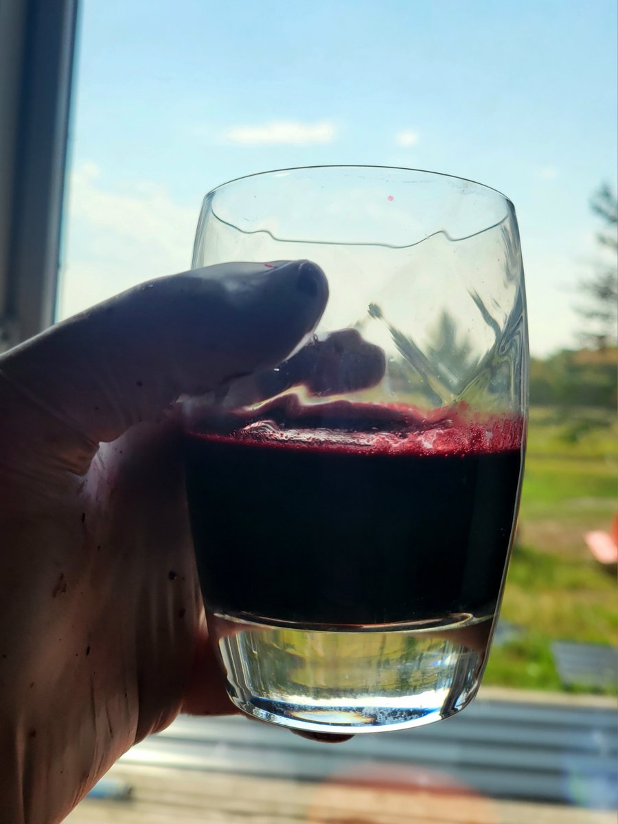 #haskaps are high in #VitaminC! Vitamin C acts similar to #antioxidants by:
- lowers blood pressure
- improves iron absorption
- supports immune health
- reduces heart disease
- promotes healthy skin
- maintains/supports energy
- contains Cancer fighting properties
And more!