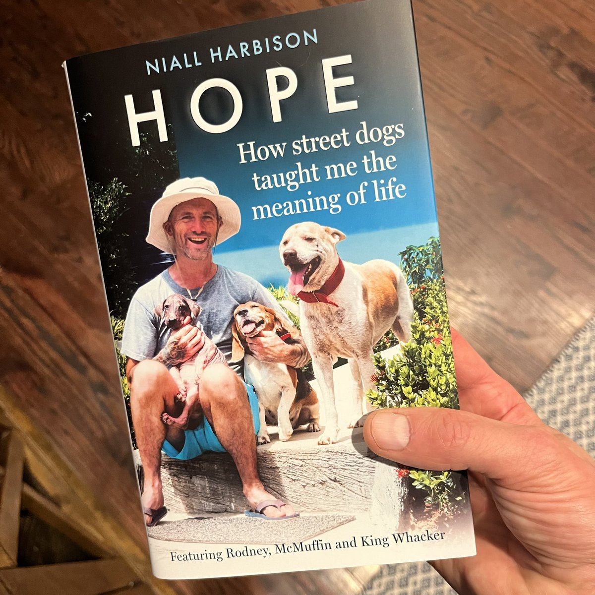 Mike Michels tweet media