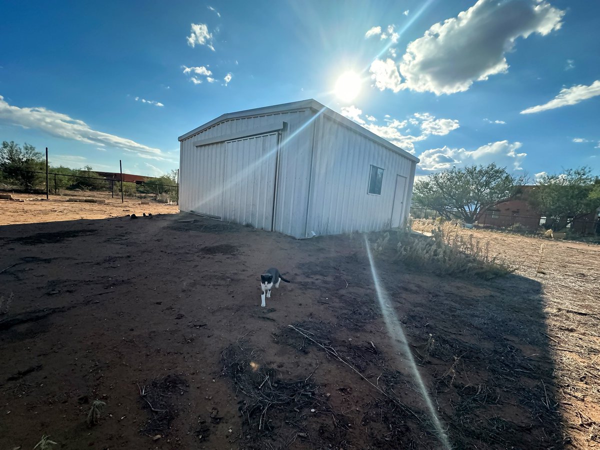 rtoab's tweet photo. In case ya’ll were wondering if Larry is still adventuring with me around the ranch…
#catsoftheinternet #ranchcat #cat #arizona #ontheborder #letsgetmoving https://t.co/E50iJgpBdE