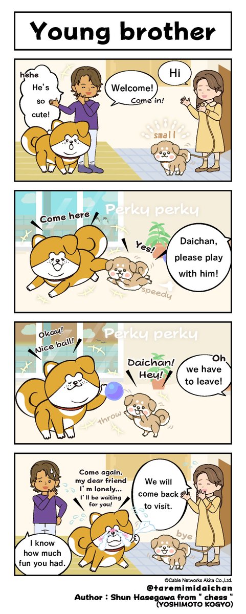 taremimidaichan's tweet photo. 【Young brother】
“Akita Inu Taremimidai-chan” is a character modeled after the real Akita dog Daisuke.
“Manga Akita Inu Taremimi Daichan”,a series of wonderful stories of ordinary days.
#fourpannelcomic #manga #DoggyLife #AkitaInu #Akita #youngbrother #friendship #dogfriend https://t.co/ZYWlNRpkxX