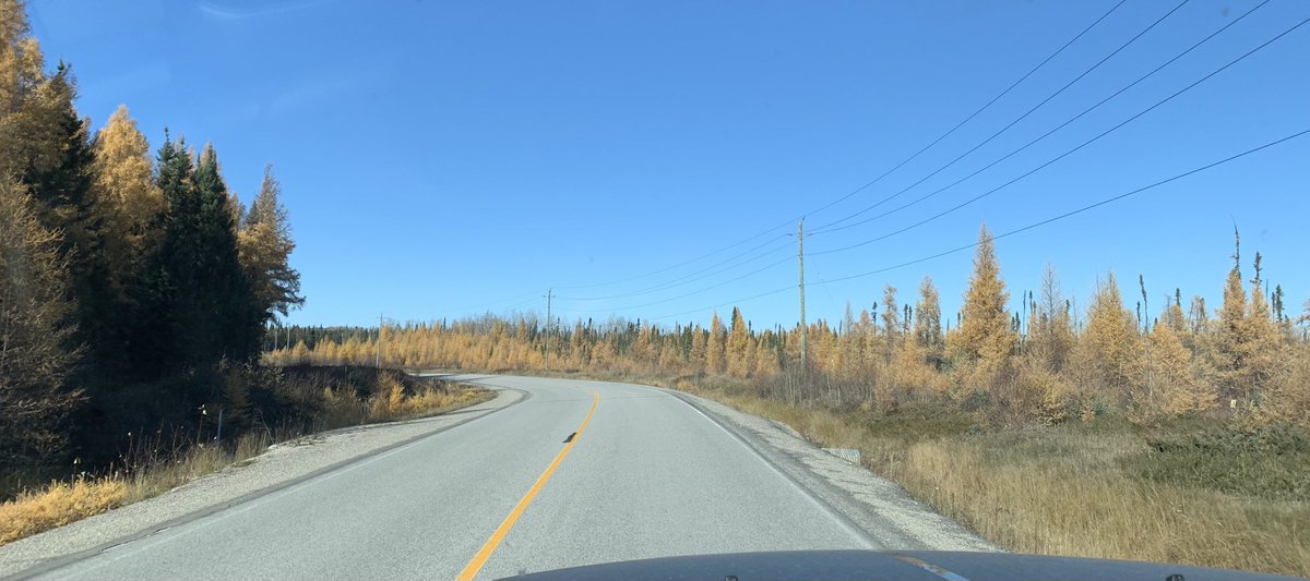 KPDSBMercer tweet media