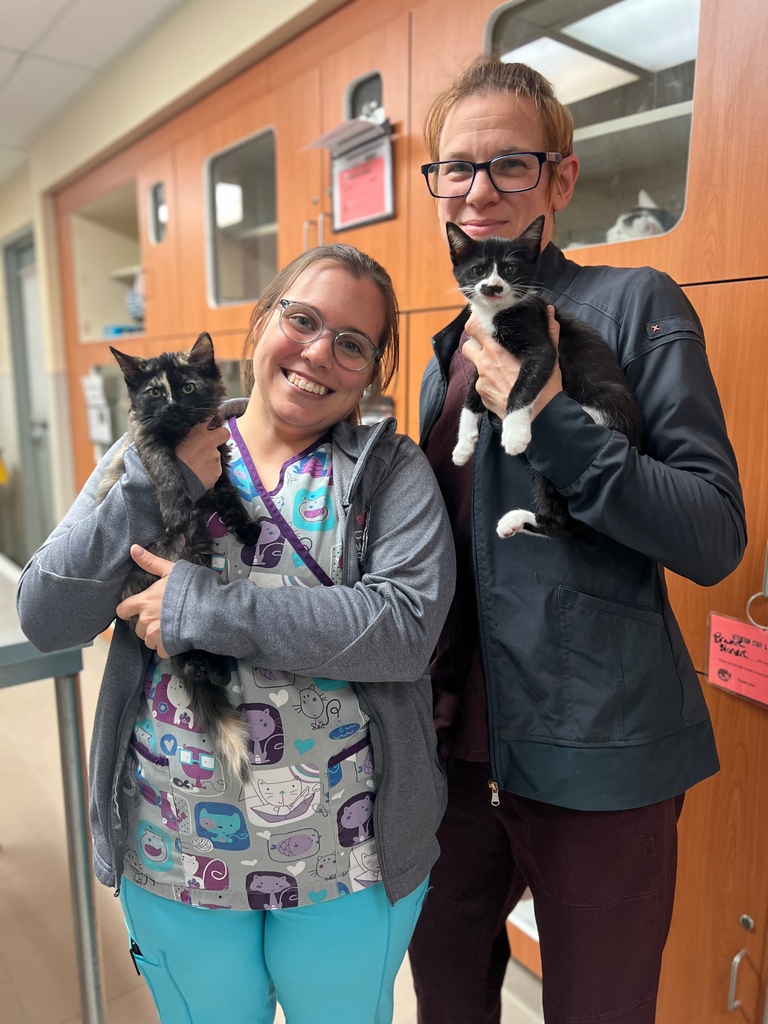 AWLAArlington's tweet photo. This week is #VetTechAppreciationWeek, so we'd love for you to join us in sending a big "thank you" to Heather Nokes, our Shelter Veterinary Services Coordinator, and Kristin Oland, LVT, our Veterinary Services Manager! https://t.co/zaNhduG2XE