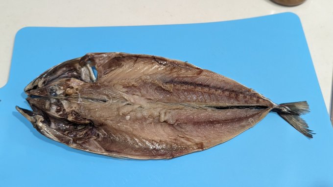 サバは茹でてみたよおいしいね 