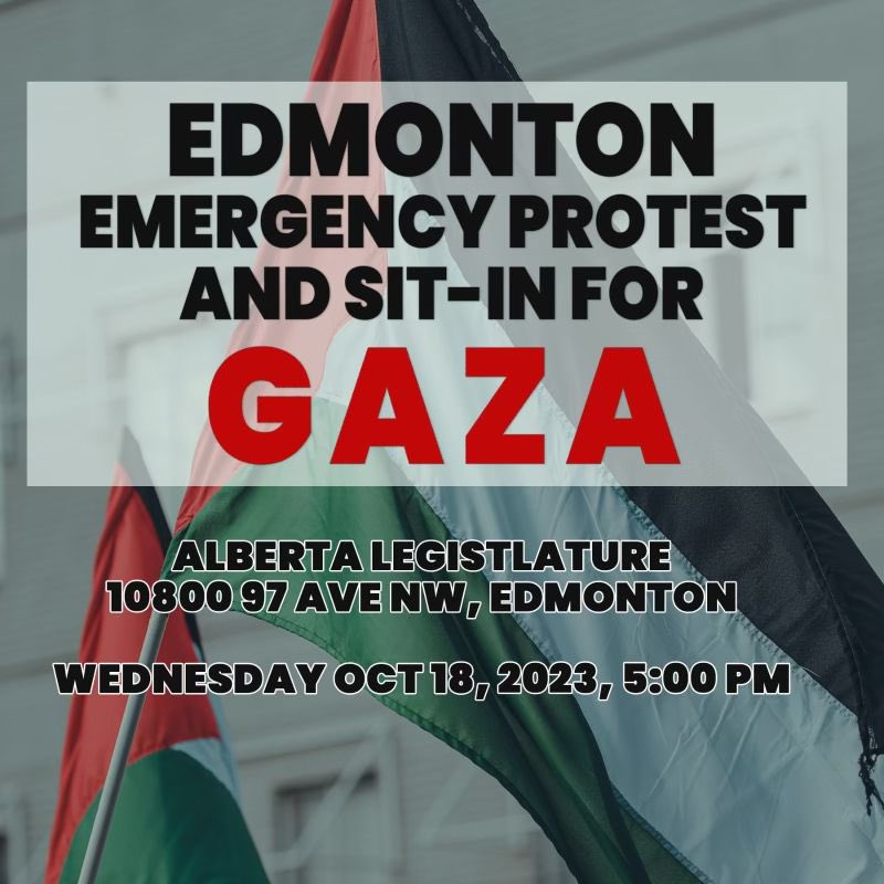 Fatima 𓂆 فاطمة 🇵🇸 tweet media