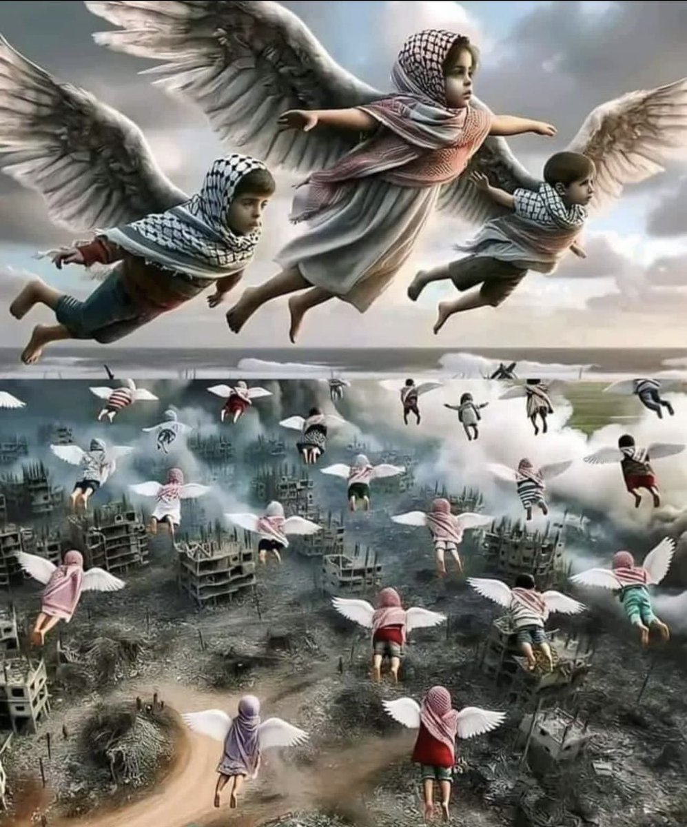 IKay974's tweet photo. اللهم أبدلهم داراً خيراً من دارهم
#Gaza #palestine https://t.co/gf9vg640Xw