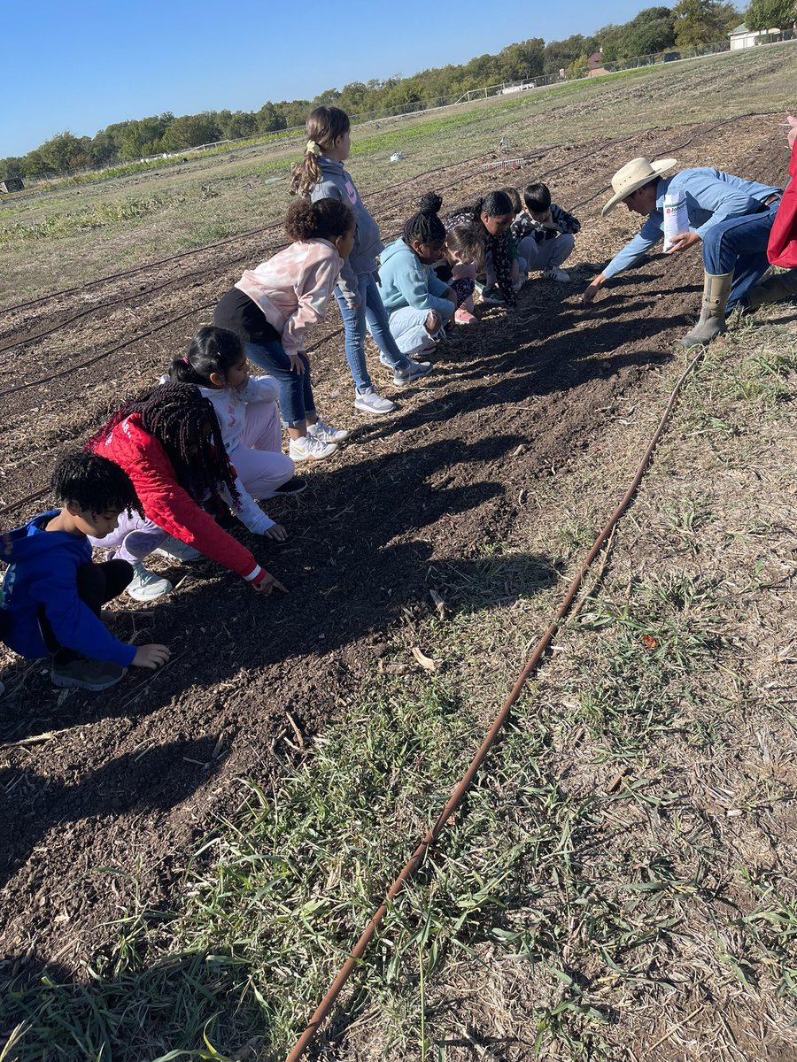 Field Trip fun to McKinney Roots Farm! The kids have a great time! 🐓🥬 <a href="/McNeil2ndGrade/">McNeil Elementary 2nd Grade</a> <a href="/McNeilElem/">McNeil Elementary</a>