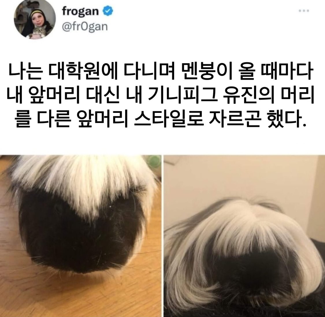 햄콩몽 (@hamkongmong) on Twitter photo 