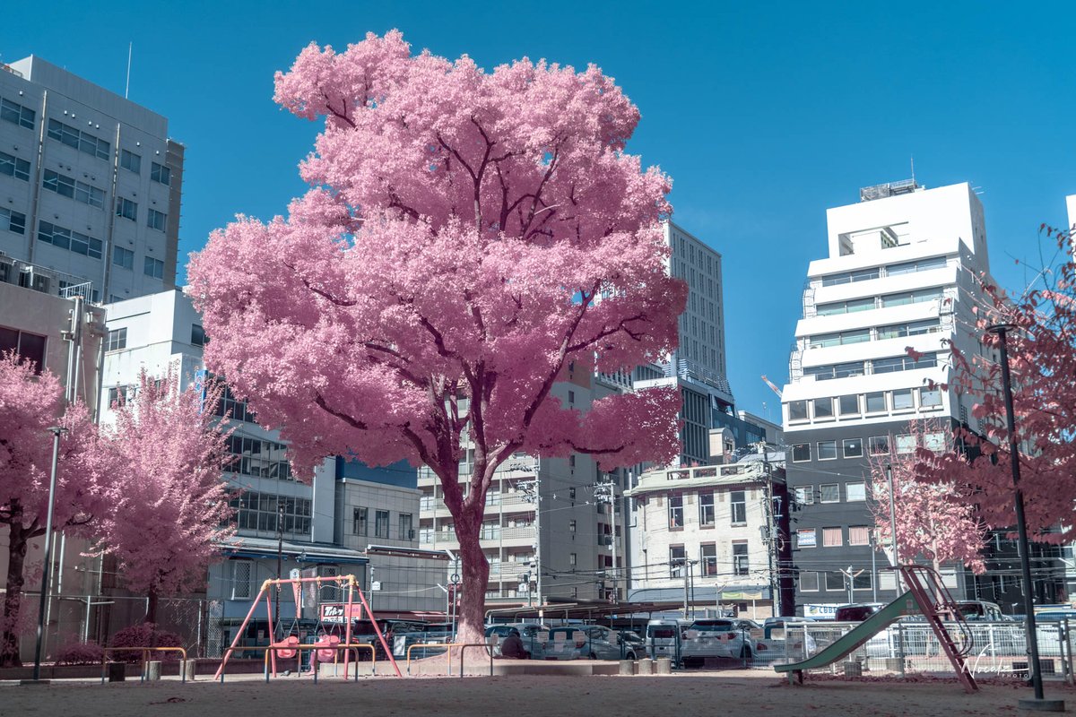 noealz's tweet photo. Somewhere in Osaka #Japan https://t.co/rjDXHizDCB
