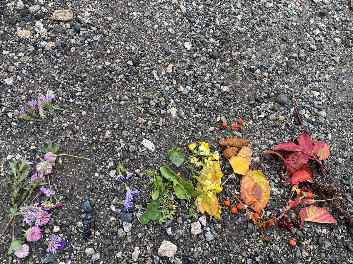 Today’s walk: collecting colours and thinking about why our differences are good. “It makes life beautiful” -S “It’s interesting”-C “we can learn” -W “We can get things done” -L “We can be ourselves” -K “We experience new things” <a href="/stevescyclones/">Manoah Steves School</a>