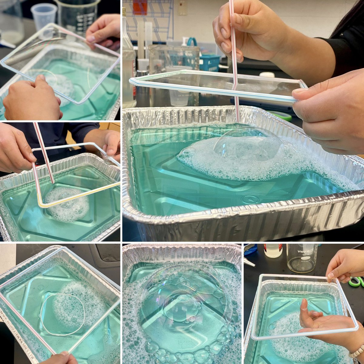 AP Biology students investigate the behavior of bubbles and correlate this to the characteristics of the cell membrane. 🫧 <a href="/PHSWarriors1957/">PHS Warriors</a>