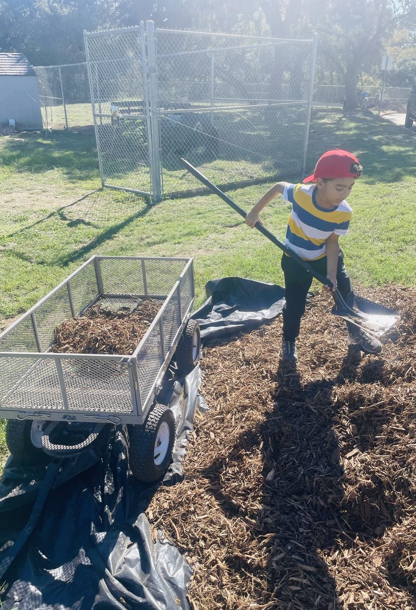 STEMStancey's tweet photo. So much work goes into getting this space ready for all of our planting, but after our second clean up we look good to go βΊοΈπ³π₯¦π» @GTMAldrich @NWF @NISDMcAndrew #ProjectAcorn #NewTrees #PlantNatives https://t.co/TceTPb9Ex0