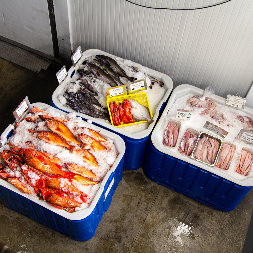 Monterey Bay Fisheries Trust tweet media