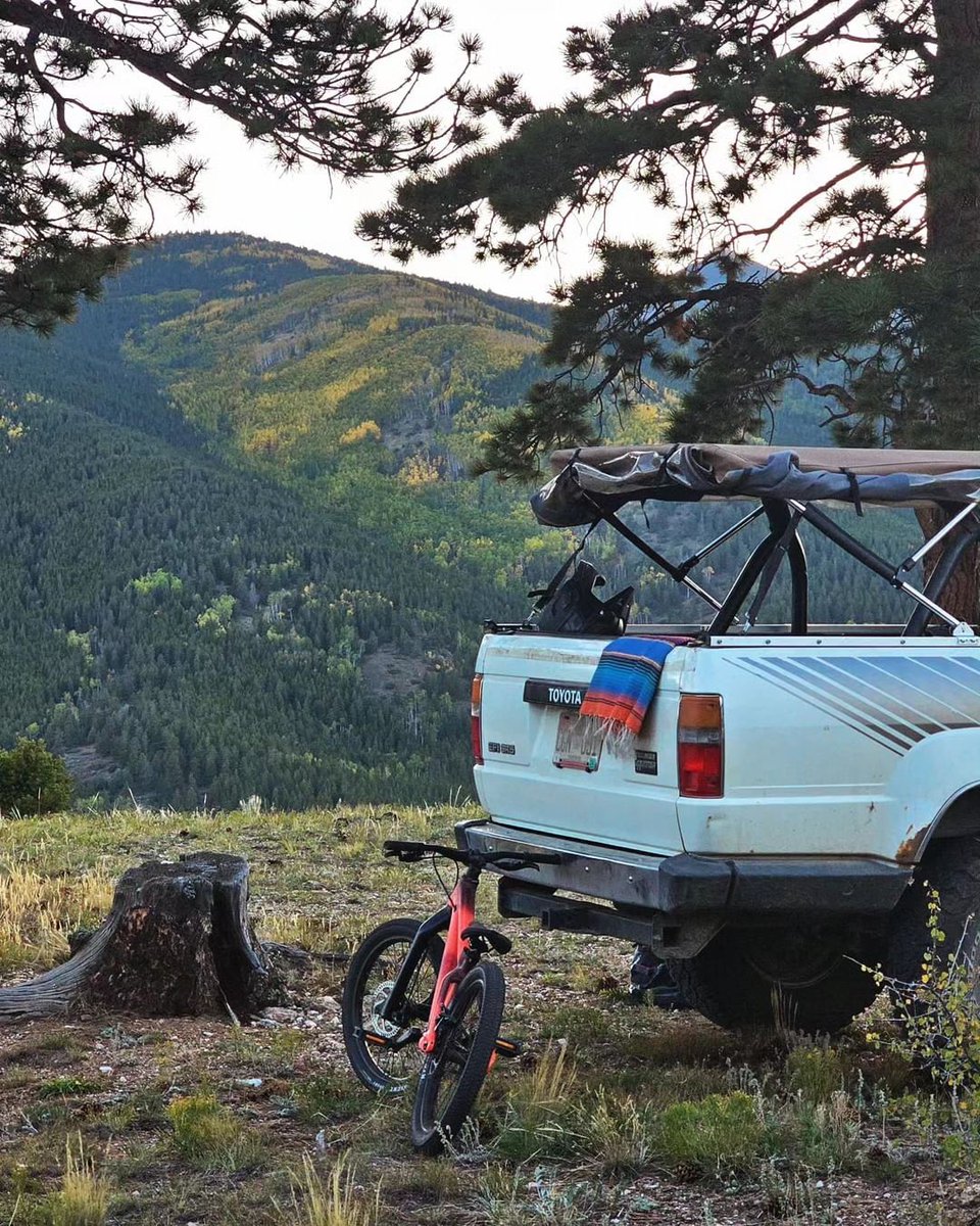Feeling fall, feeling safari🍂 🍁 

#softopper #toyota #vintagetoyota #truckbedcap #truckbedstorage #safari #safarimode #truck #fall