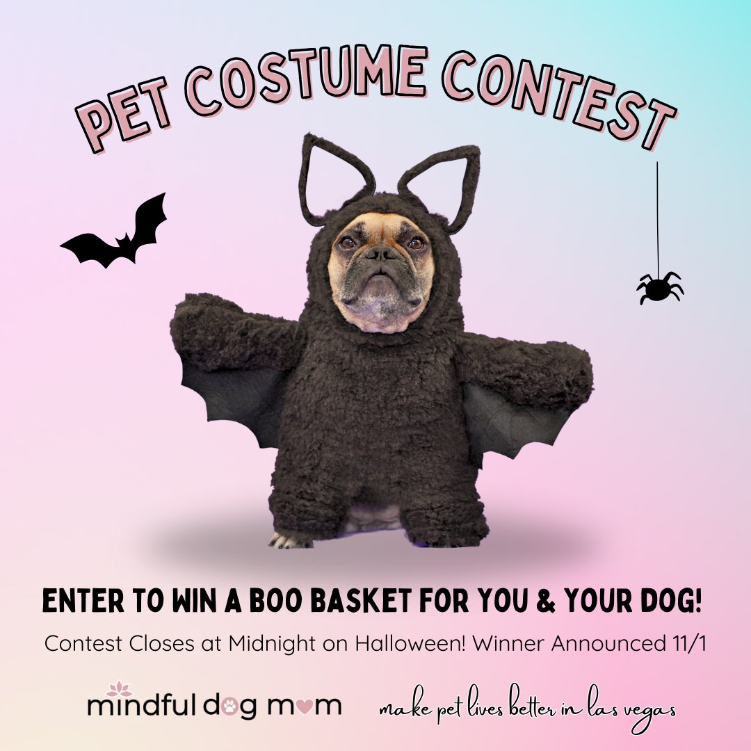 Mindful Dog Mom (@vegasdogmoms) on Twitter photo 