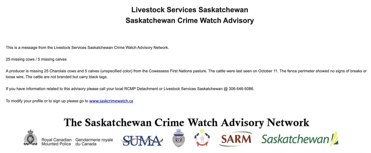 FarmCrime's tweet photo. >>25 missing Charolais cows and 5 missing calves from Cowessess First Nature pasture. Fence showed no sign of break or loose wire<< https://t.co/luIgTqJ6U3