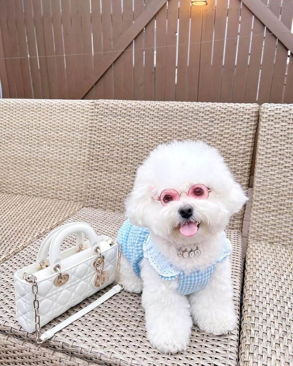 ZombieRust16604's tweet image. ❤️❤️❤️❤️ #편의점샛별이 #홍은희 #10회예고 #왕언니