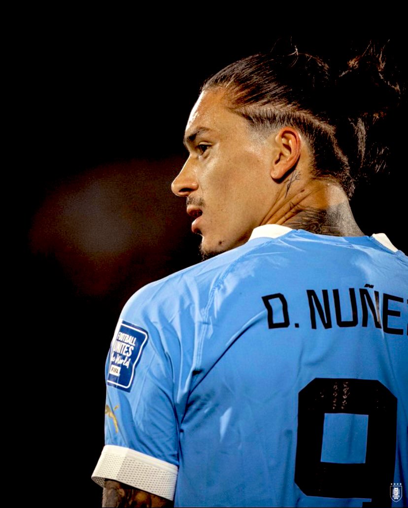 MeteGolEntra tweet media