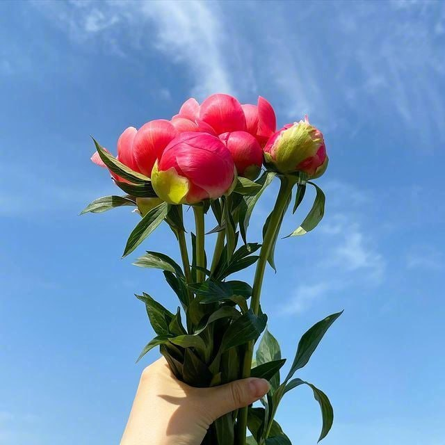 Tolerance is not morality, but knowledge. Only by deeply understanding things can we understand and appreciate the complexity of people and the world, and have the habit of thinking not to easily blame or praise.