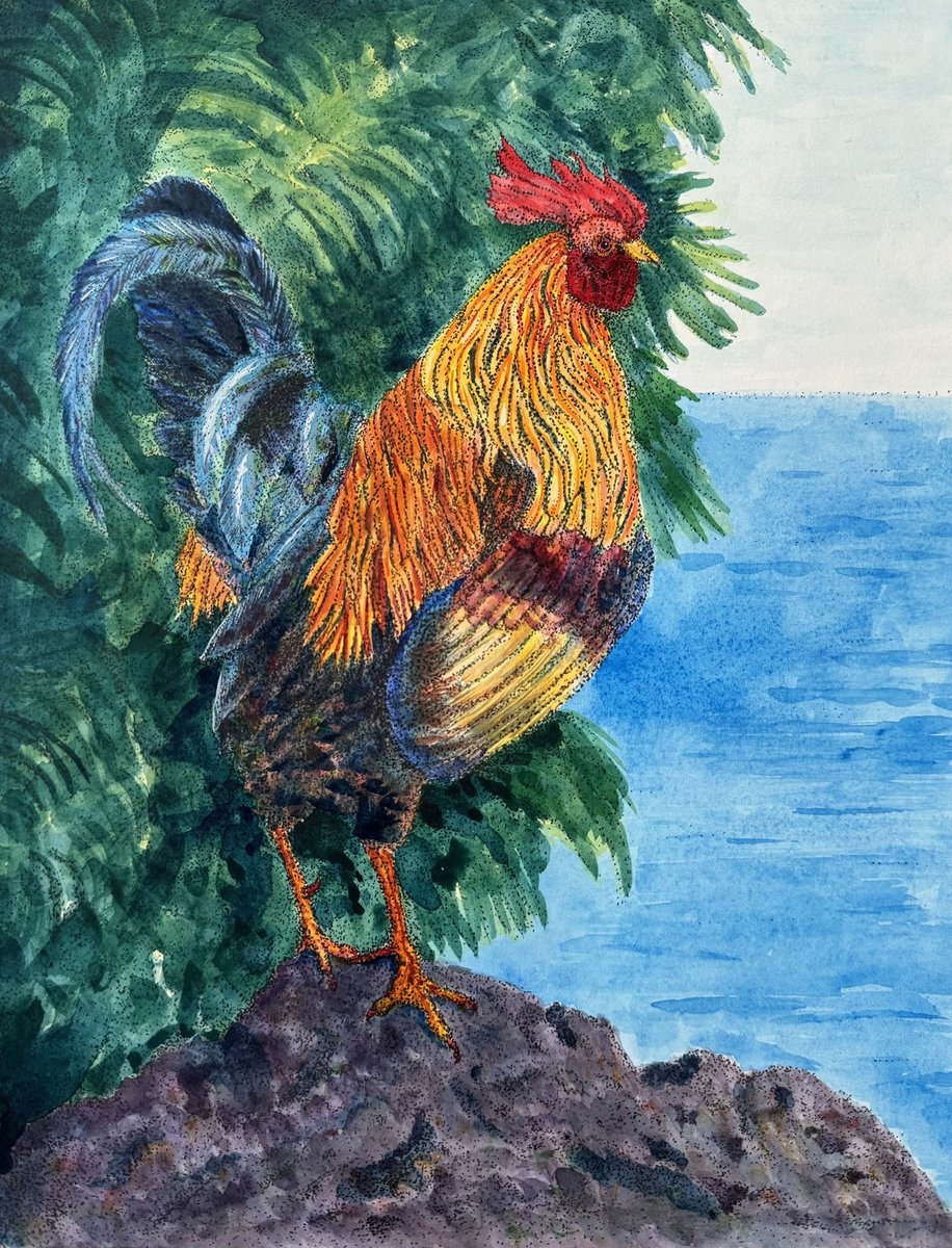 benlew's tweet photo. Maui Jungle Fowl - watercolor, gouache, and muji pen. #painting #watercolor #maui #chicken #rooster https://t.co/V2UM2w9SCw
