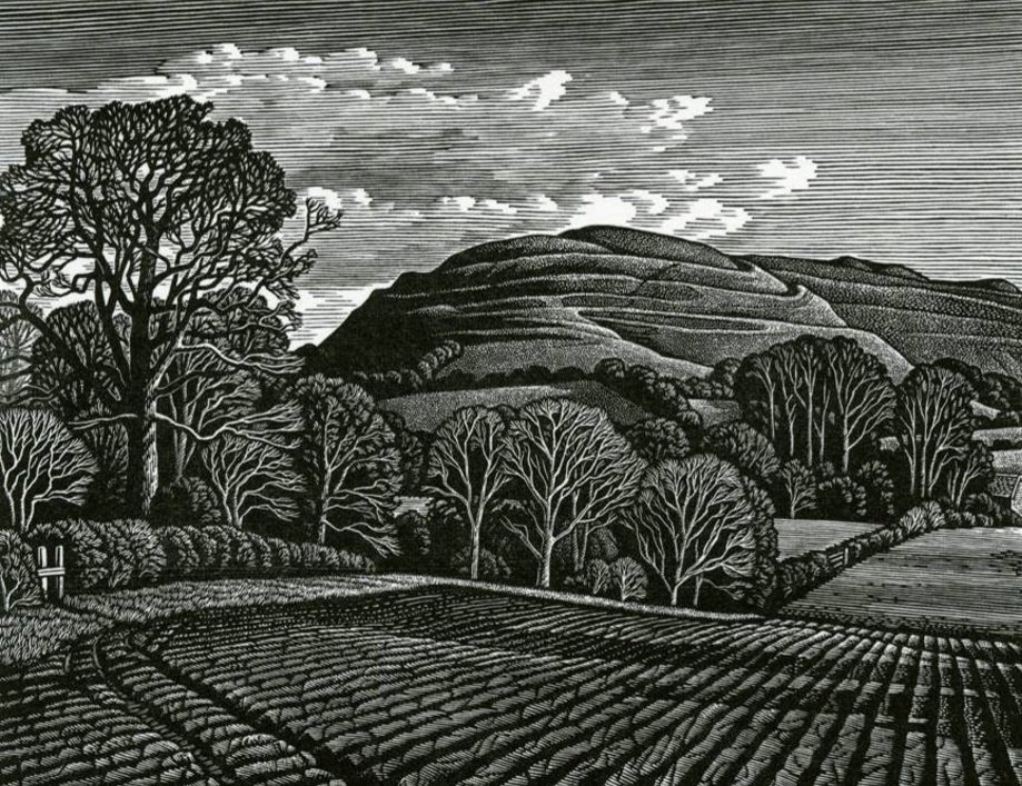 Durotrigesdig's tweet image. The mighty multivallate hillfort of Hambledon Hill has been dominating NE #Dorset since the Iron Age 

It has never looked more magnificent than in this wood engraving by and © Howard Phipps

For more of Howard’s work see: 

rowleygallery.com/Artist-Howard-…

Happy #HillfortsWednesday!