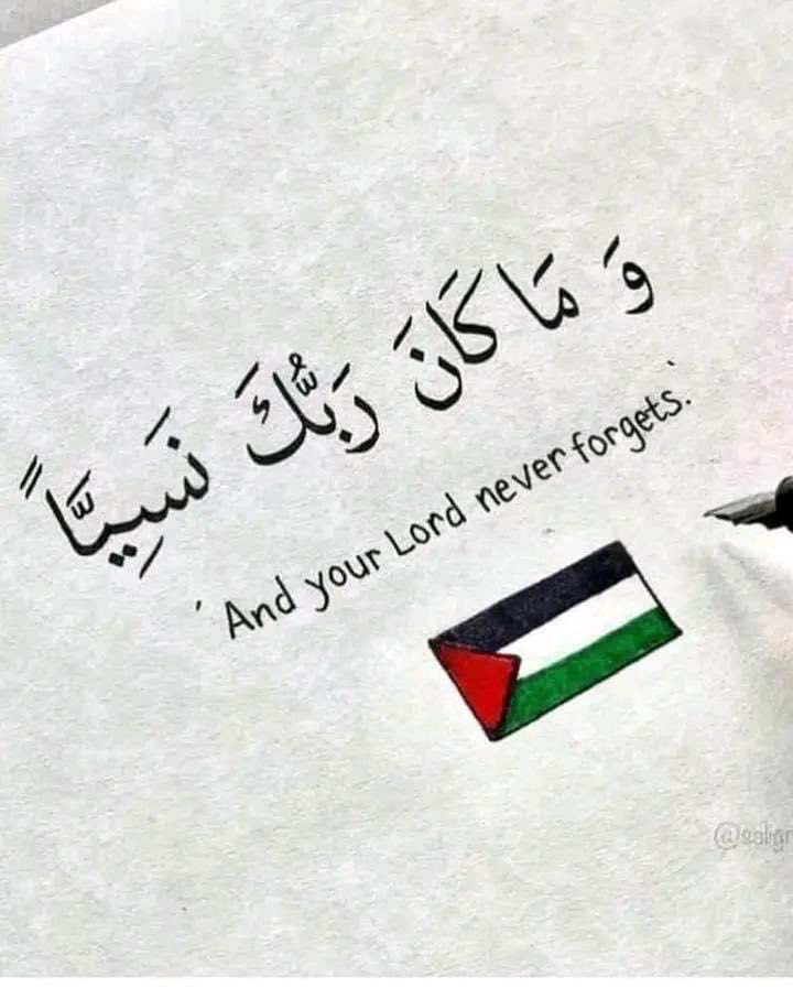 ri10of's tweet photo. اللهم آمِن روعَاتهم ..
واستر عورَاتهم  …
ونجّهم من الخوفِ والفزَع ..
ومن الجوع والجزَع ..

واجزهم عن مشقّة الحيَاة الفانية بما صبروا جنَّةً وحَريرًا💔 https://t.co/tuGDq3CRln