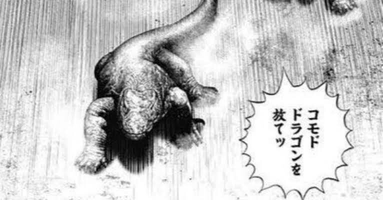 #はなてを付けるとかっこよくなる選手権 

コモドドラゴンを
 █  ◢
███ ███◤ ██████
 █  █ █     ◢█◤
 ██ ◤██    ◢█◤
◢ █ ◢█     █
 ◢█◢█◥█◣   ◥█◣ッ 