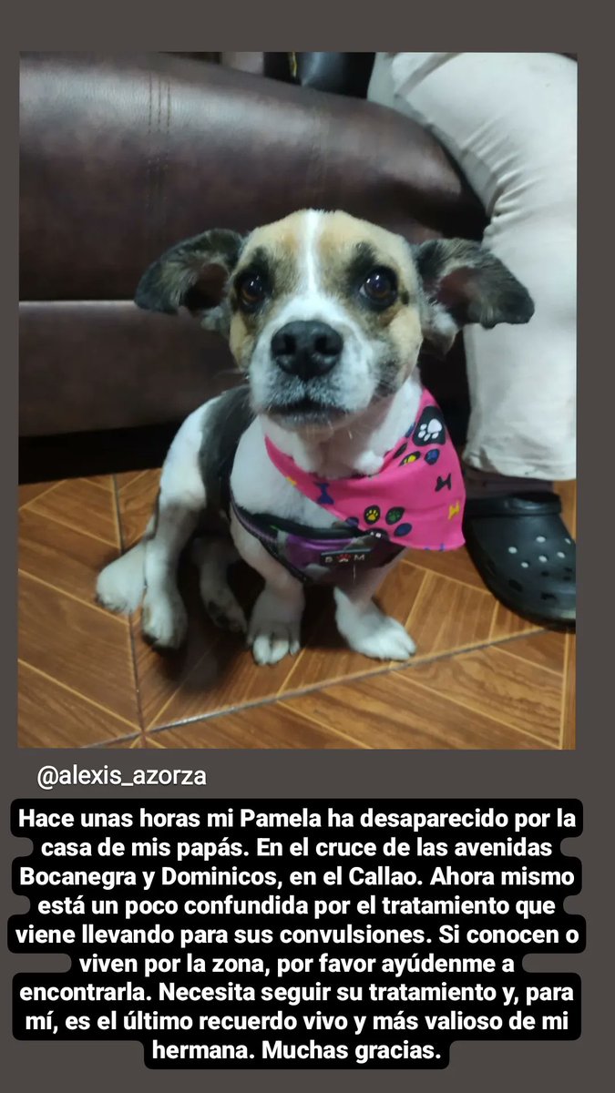 Ayúdenme a encontrarla, por favor.