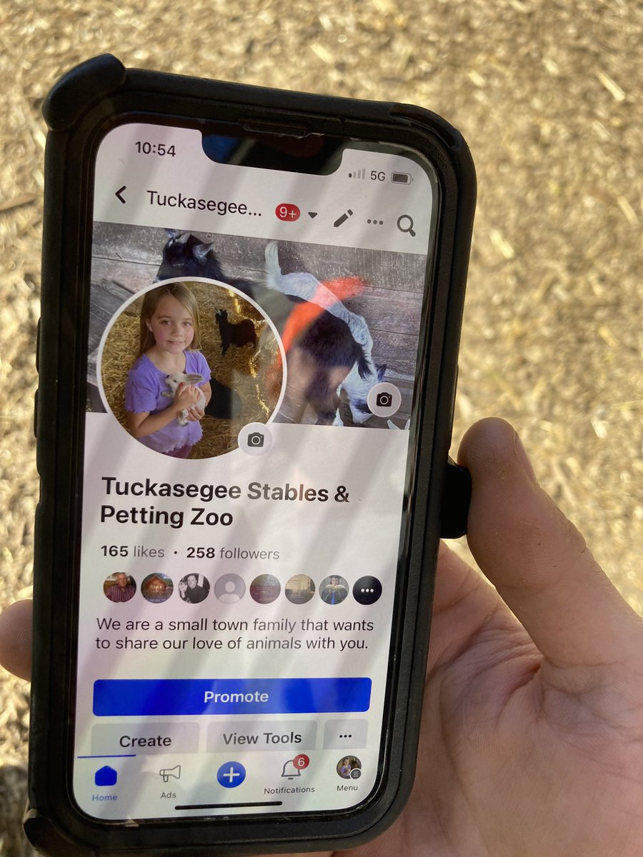 IshmaelJJBooks's tweet image. If you are in North Carolina you have to go here and visit this farm and petting zoo the people are amazing and down to Earth. We need to show our support for amazing people like these. Say hi to Josh and Mathew for me!!! Mama the sheep is the cutest being ever!!! #LoveChanges