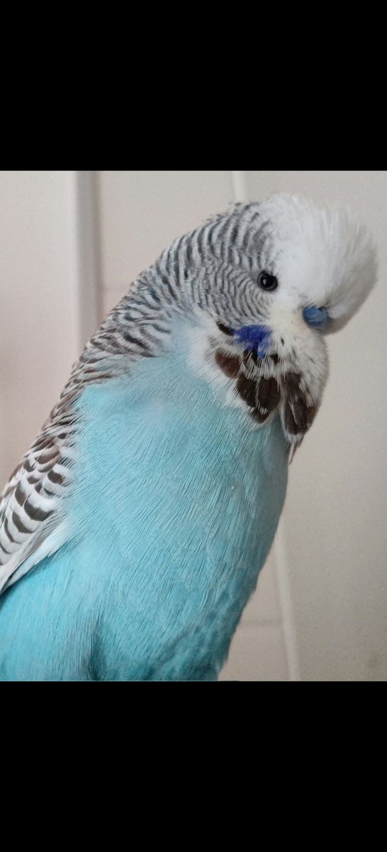 こんちゃ～🖐️🙂
おつかれさまです～🙂✌️