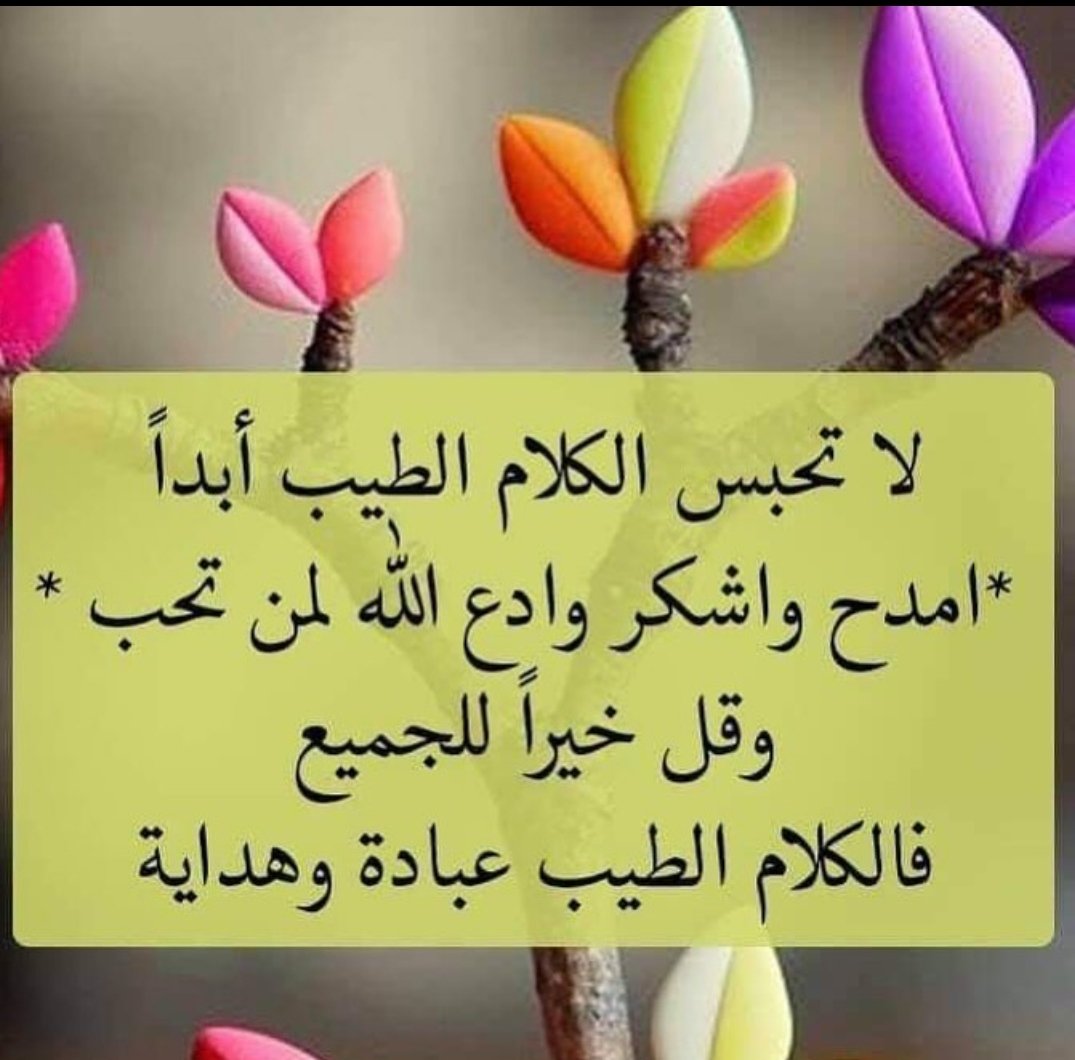 صباح الخير والعافية عالجميع 💐