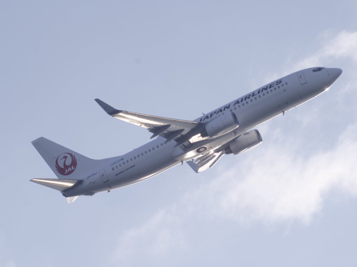 NakajimaBob's tweet image. #TAMRON 
#ADAPTALL 2
200-500mmF6.9
#Lumix #G9pro

1979年のマニュアル超望遠
換算1000mm
737-800かな