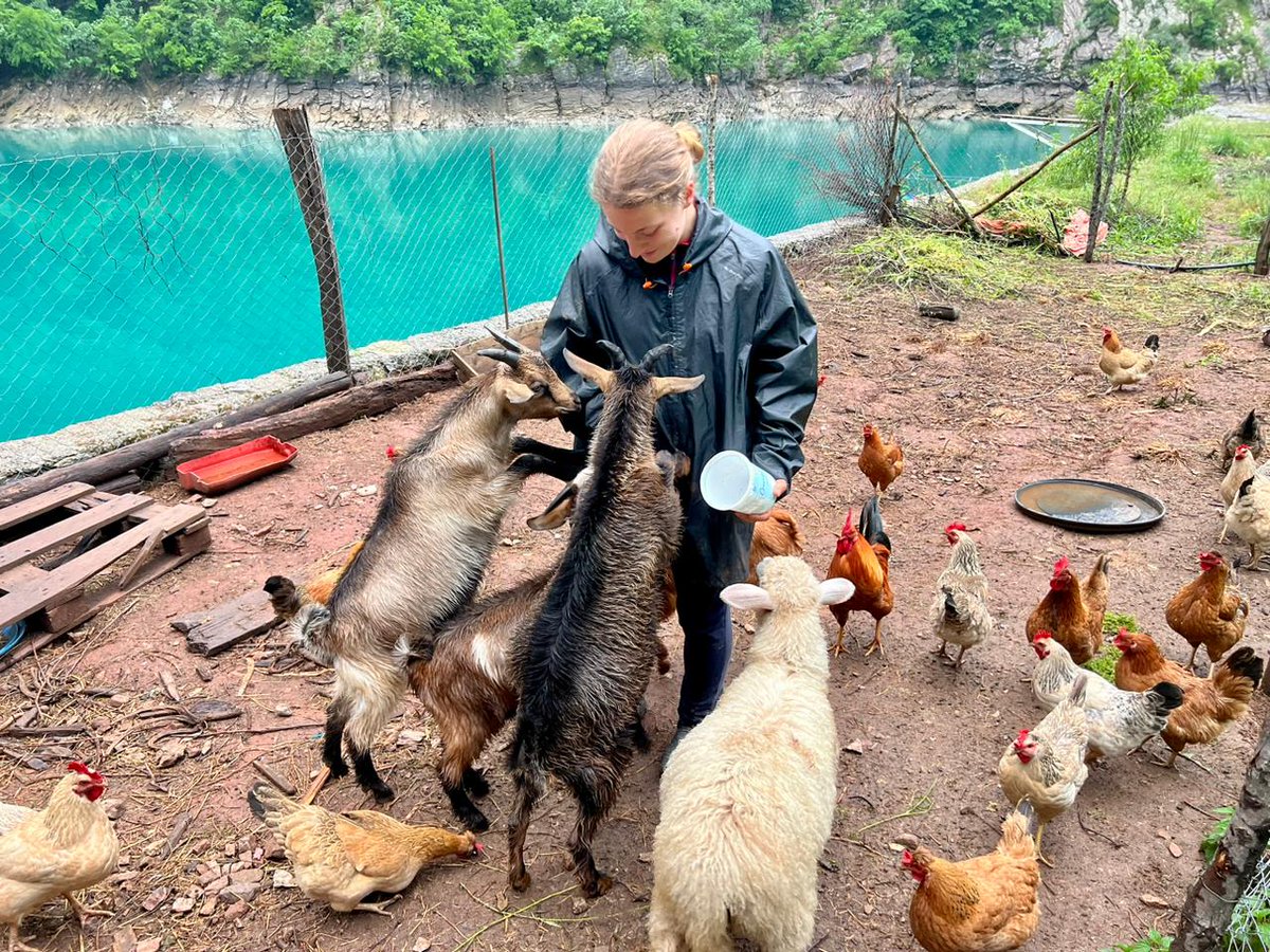 UnimondoOrg's tweet photo. #Neomalsore, ovvero l’#Albania che non ti aspetti. Dalla regione montana del #Dukagjin alle pagine del #FinancialTimes, il progetto di #MarjanaKoçeku ha spiccato il volo, proponendo un turismo dal sapore autentico... 
Di @DaquilioM su https://t.co/tPlFVTvUAk https://t.co/FK05YtAD0r