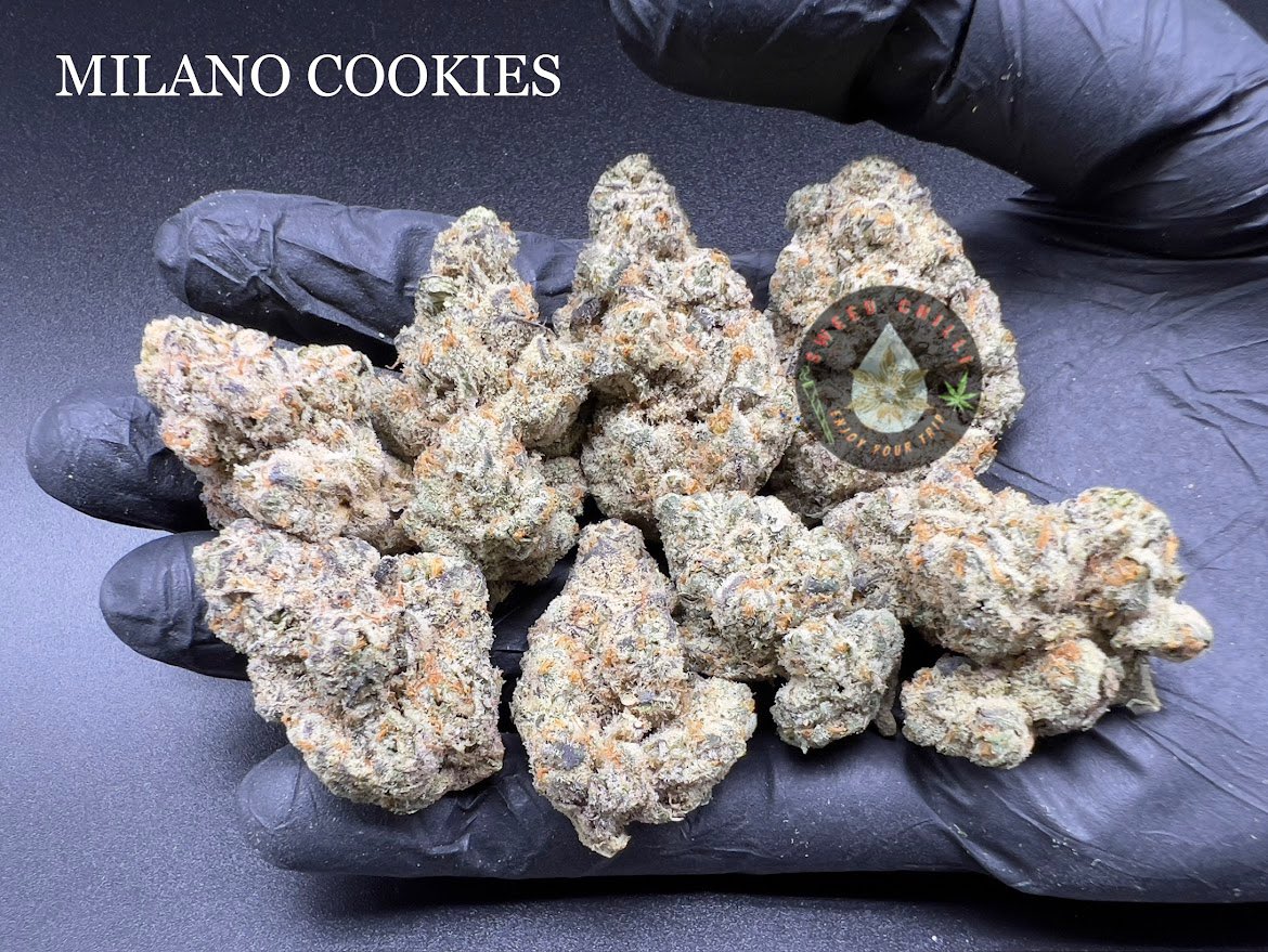 SweedChilli's tweet photo. INDOOR HYDROPONIC 
Exotics 🔥🥦

🍀 Top Bud 
50g 7,700.- 
100g 14,000.- 

🍿Popcorn Exotics 🔥💯
50g / 5,000.-
100g / 8,500.- 

เพิ่มเติม👇

https://t.co/FfN2QbgCDo 

Age 20+ 🚫

#กัญชา #กัญชาออแกนิค #กัญชานอก #กัญชากรุงเทพ #กัญชารังสิต #กัญชาราคาถูก #กัญชาเชียงใหม่ #Dabthai #Pod https://t.co/X9YTmssVns