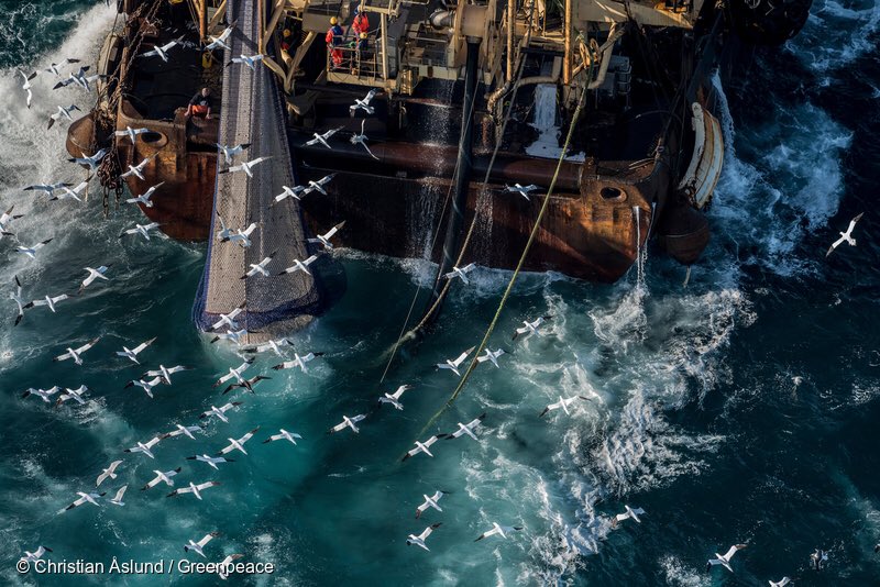 BeforeYouEatID's tweet photo. Banyak pula AKP migran yang mengaku tak boleh berhenti bekerja meski sedang badai kencang yang membuat banyak dari mereka terjatuh.

Sumber: Laporan kolaborasi SBMI dan Greenpeace Asia Tenggara tahun 2021 berjudul “Forced Labour at Sea..” https://t.co/I5aiRHA53c