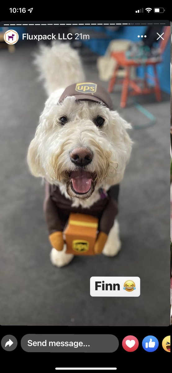 Kelly Campbell tweet media