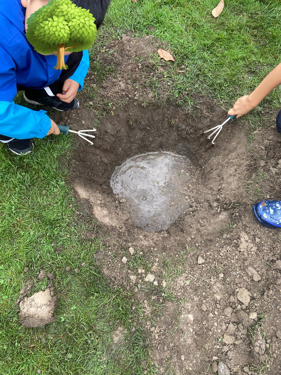 Roomtoplay's tweet image. A fabulous day planting trees with the @Grauer_Phoenix school community 🌳 Everyone pitched in to dig, prep &amp;amp; plant trees purchased with the generous support of @TreeCanada 🌳#sd38learn