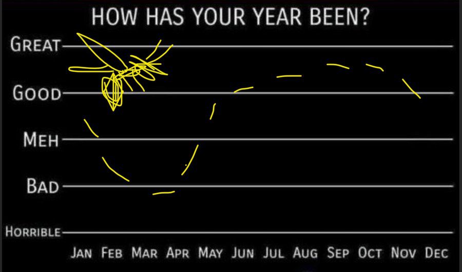 Wasp_on_pc's tweet image. Bzzz