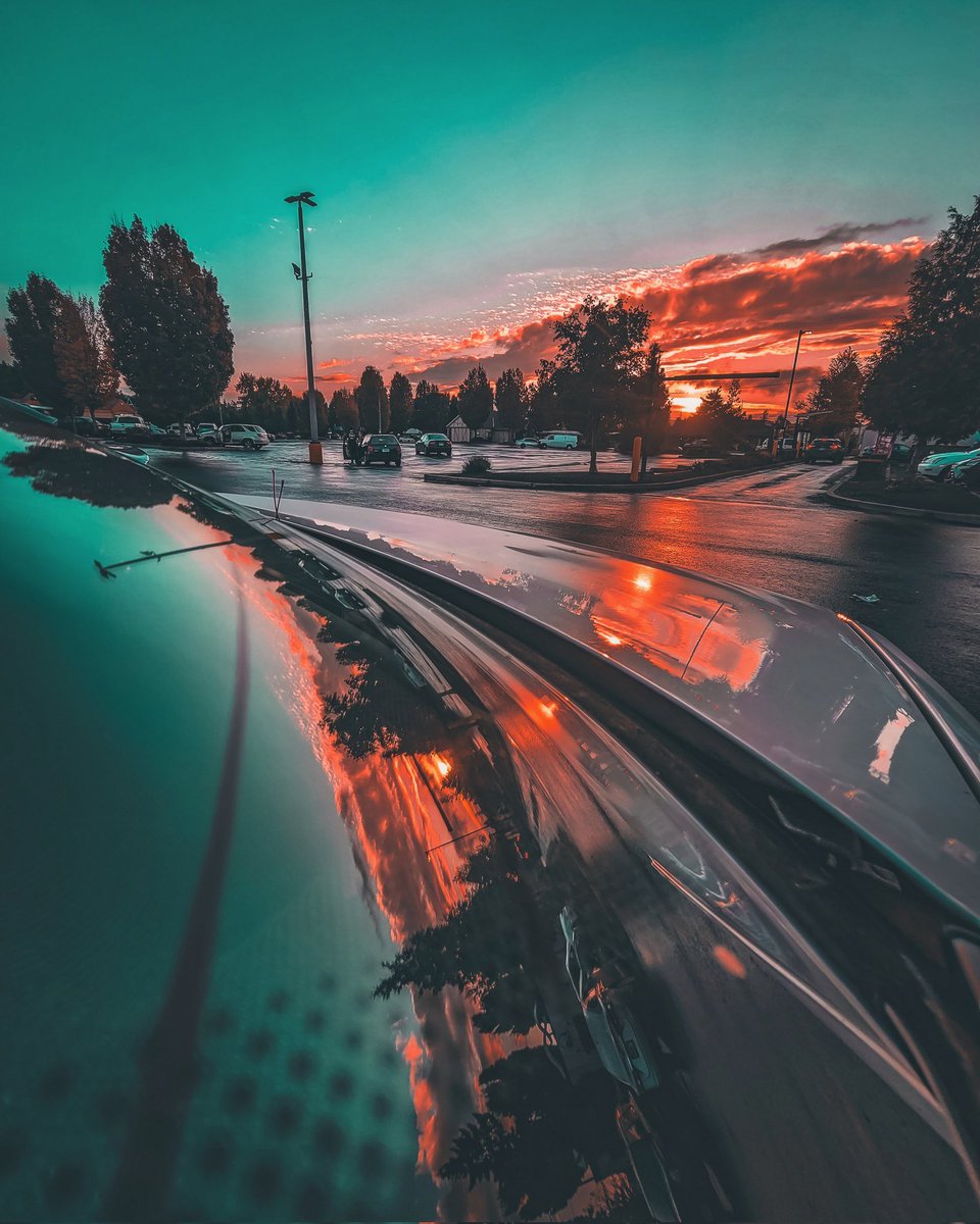 Moon Vibes tweet media