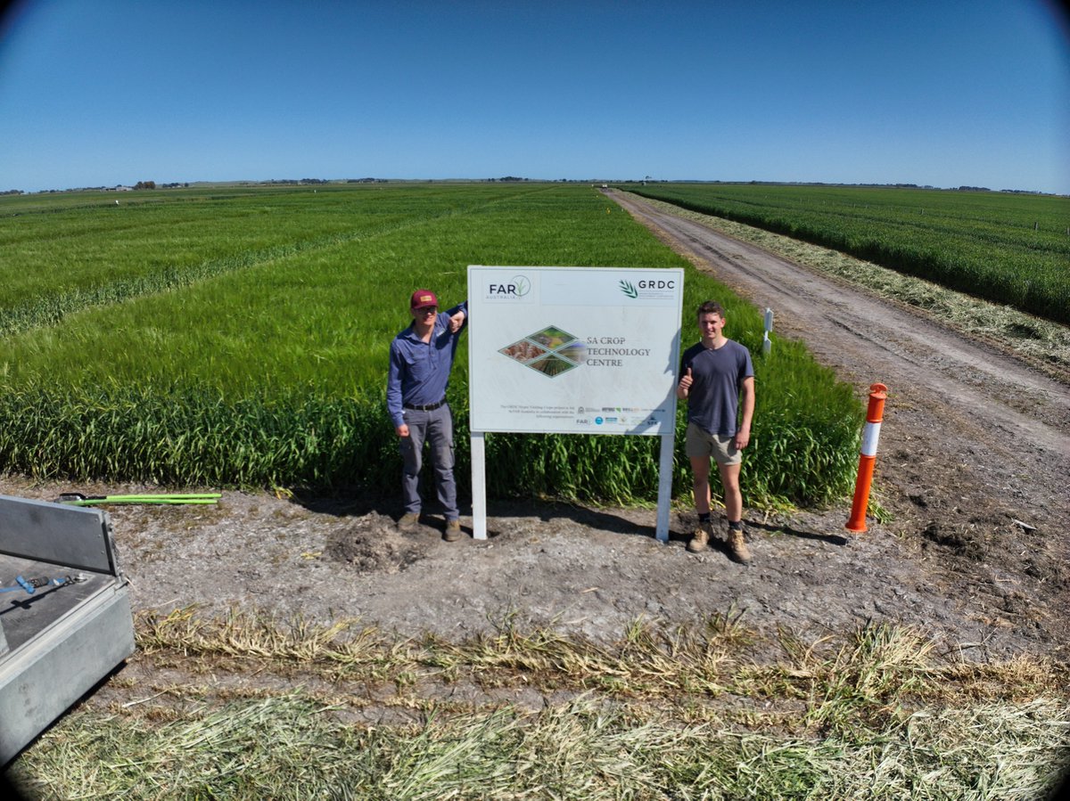 FAR Australia tweet media